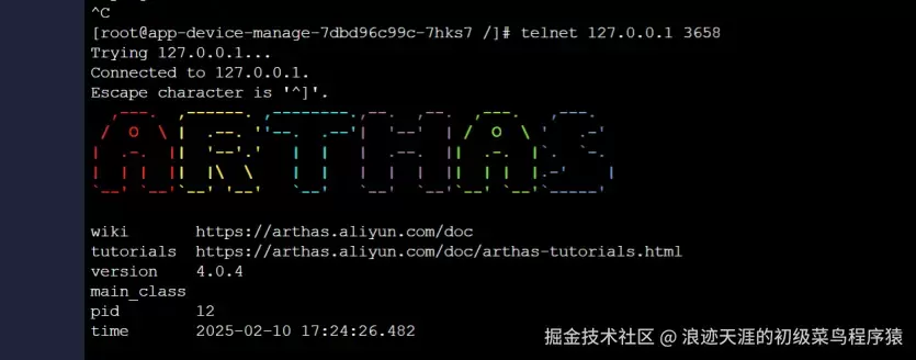 内网环境简单使用arthas的方法