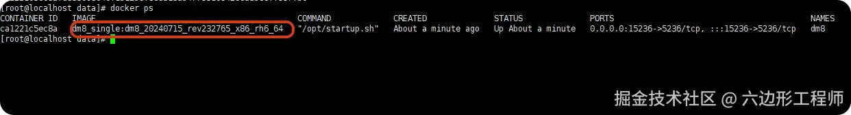 docker安装达梦DM8
